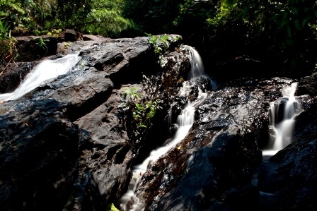 Những con suối ở thượng nguồn đổ về hồ