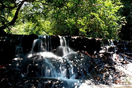 Những con suối ở thượng nguồn đổ về hồ