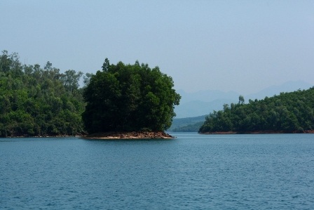 Một đảo nổi giữa Hồ Phú Ninh