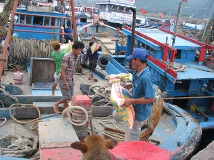Ngư dân vững lòng, hàng loạt tàu cá rẽ sóng ra Hoàng Sa, Trường Sa - 4 Ngư dân tàu QNg 94123 TS của anh Lê Quang Chưởng đang bốc gạo lên tàu để chuẩn bị vươn khơi