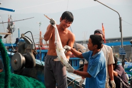 Kết quả sau những chuyến tàu ra khơi xa