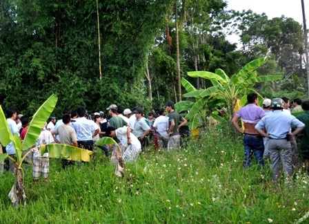 Phát hiện xác con bò tót húc chết người - 3 Rất đông người dân kéo đến hiện trường xem con bò tót chết