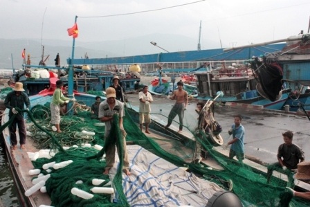 Sau khi bán cá, ngư dân lại chuẩn bị ngư lưới cụ cho chuyến vươn khơi mới