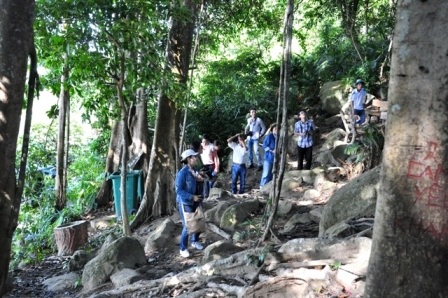 Du khách trong và ngoài nước tham quan cây đa Sơn Trà