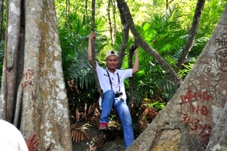 Du khách trong và ngoài nước tham quan cây đa Sơn Trà