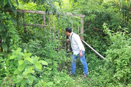 Con đường vào “làng ma” đã đóng lại, cỏ và cây rừng mọc rậm kín xung quanh