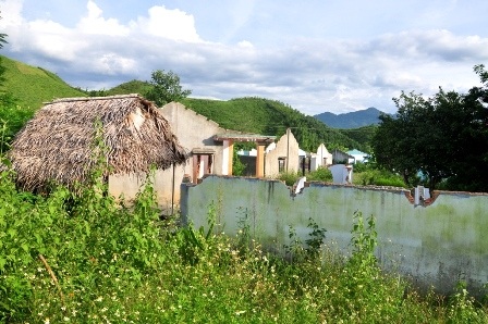 Khu dân cư giờ đây cỏ mọc lút đầu, phủ lên những ngôi nhà đã bỏ hoang