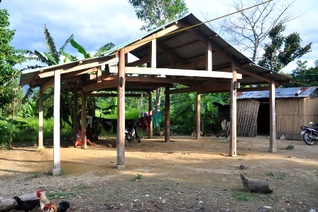 Khu dân cư giờ đây cỏ mọc lút đầu, phủ lên những ngôi nhà đã bỏ hoang