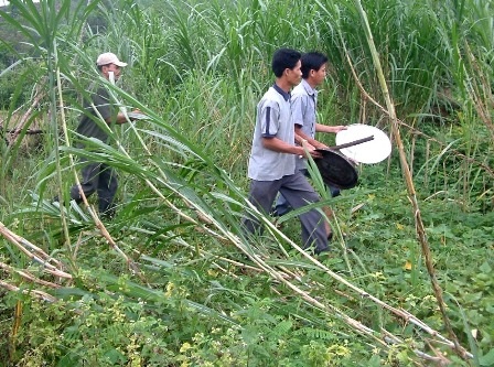 Người dân làng Khe Dưng gây tiếng động để đuổi voi ra khỏi làng