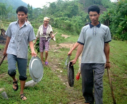 Đàn voi rừng về làng phá hoa màu của người dân
