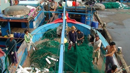 Mưu sinh ở bến cá - 8