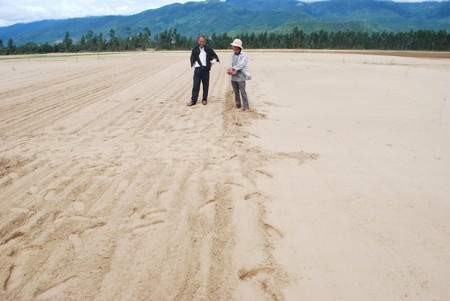 Hàng trăm ha ruộng có nguy cơ bỏ hoang vì “lũ cát” - 7 Hàng trăm ha ruộng có nguy cơ bỏ hoang vì “lũ cát” - 7