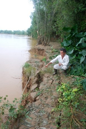 Hàng trăm hộ dân lo lắng vì sông “ngoạm” vào làng - 4 Hàng trăm hộ dân lo lắng vì sông “ngoạm” vào làng - 4