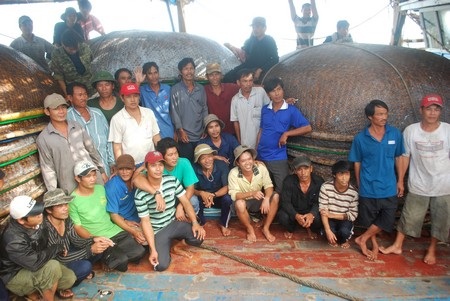 Cứu 35 ngư dân bị nạn trên biển về đất liền an toàn - 3