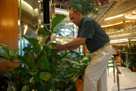 Mục sở thị khách sạn nổi 5 sao “Huyền thoại của biển” - 23 Mục sở thị khách sạn nổi 5 sao “Huyền thoại của biển” - 23