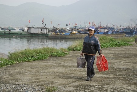 Mưu sinh ở bến cá - 6