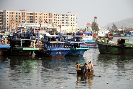 Mưu sinh ở bến cá - 12