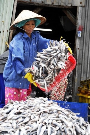 Mưu sinh ở bến cá - 3