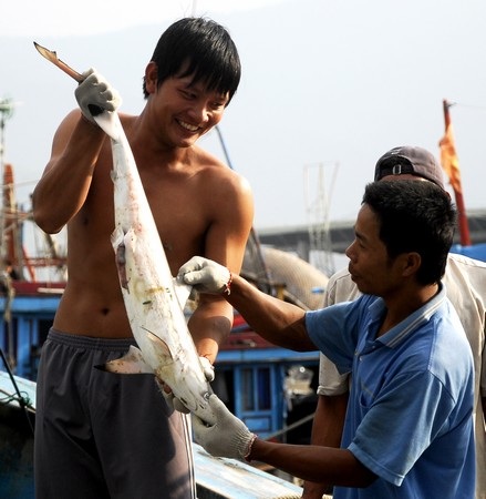 Mưu sinh ở bến cá - 2