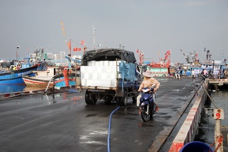 Mưu sinh ở bến cá - 11