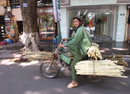 Nắng nóng Hà Nội - 12 Nắng nóng Hà Nội - 12