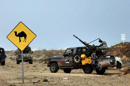 Xe bán tải, những “chiến xa” năng động - 36