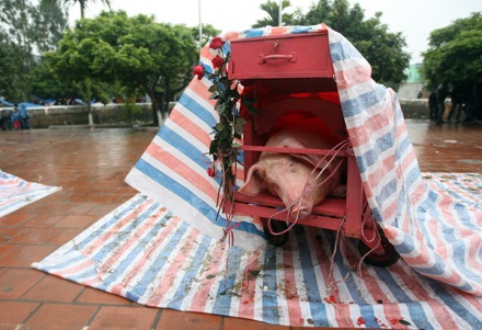 Nếu bị đau tim - Đừng xem chém lợn - 3