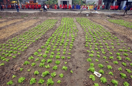 Nếu bị đau tim - Đừng xem chém lợn - 10