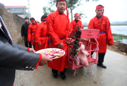 Nếu bị đau tim - Đừng xem chém lợn - 9