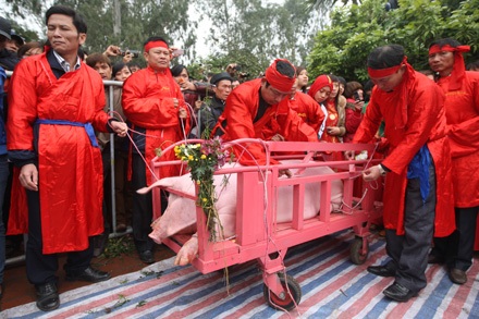 Nếu bị đau tim - Đừng xem chém lợn - 14