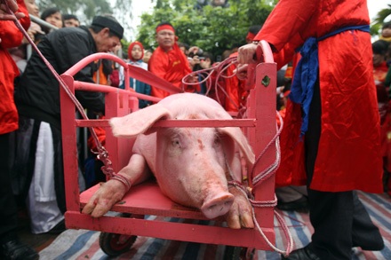 Nếu bị đau tim - Đừng xem chém lợn - 16