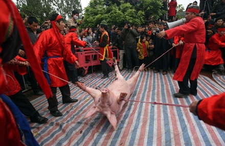 Nếu bị đau tim - Đừng xem chém lợn - 19