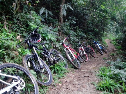 Xe đạp - Sự trở lại của một thú chơi - 8 Tác giả bài viết ngoài cùng bên trái