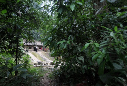 Điện Biên Phủ - Một chiều buồn! - 13 Căn lán của Đại tướng trong khu Mường Phăng