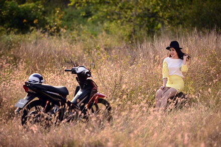 Theo bạn, ôtô nhập khẩu từ ASEAN sẽ giảm giá trong năm 2014 khi thuế nhập khẩu giảm còn 50%?