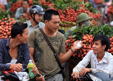 Hình ảnh chỉ có thể thấy ở "vựa vải" lớn nhất miền Bắc - 1 Thương lái Trung Quốc len lỏi giữa hàng dài xe vải để xem và ngã giá