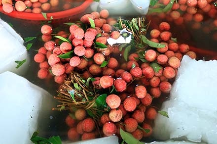 Hình ảnh chỉ có thể thấy ở "vựa vải" lớn nhất miền Bắc - 8 Thương lái Trung Quốc len lỏi giữa hàng dài xe vải để xem và ngã giá