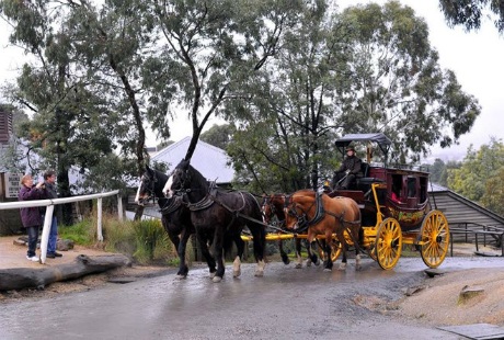 Du khách tự tay đào vàng và cảm nhận sự nguy hiểm - 4 Phương tiện đi lại phục vụ khách du lịch. (Ảnh: Đỗ Vân/Vietnam+)