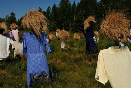 Lạ lùng “cánh đồng bù nhìn” ở Phần Lan - 6 Minh Anh