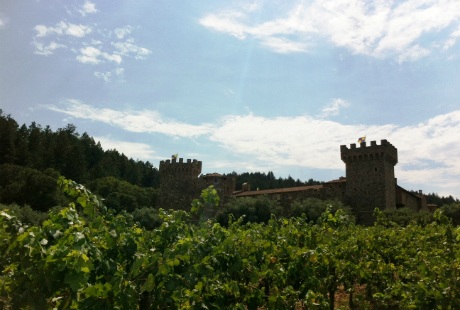 Một lâu đài cổ tích lạc giữa vườn nho