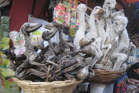 Khu chợ phù thủy độc nhất thế giới - 6 Khu chợ phù thủy độc nhất thế giới
