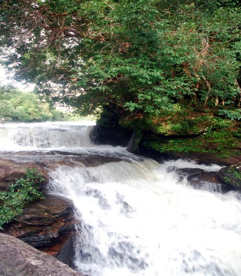 Thác nước đẹp, hoang sơ luôn hấp dẫn du khách.