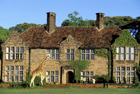 Khách sạn “hươu cao cổ” độc đáo nhất thế giới