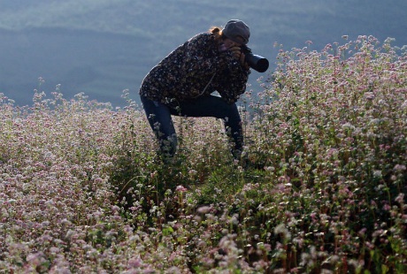 Nhiếp ảnh gia đang say sưa sáng tác