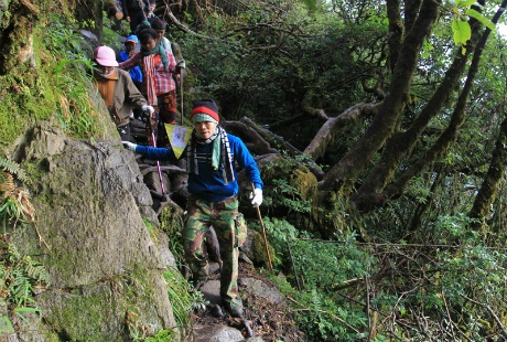 Từng tốp xuyên rừng chinh phục đỉnh cao Phan Si Păng.