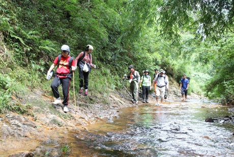 Trên đường đi du khách không ngỏi ngỡ ngàng với những dòng suối trong vắt.