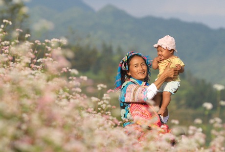 Hạnh phúc bên vườn hoa Tam giác mạch