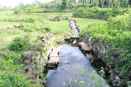 Loại hình giếng ao cũng phù hợp
với việc canh tác nông nghiệp