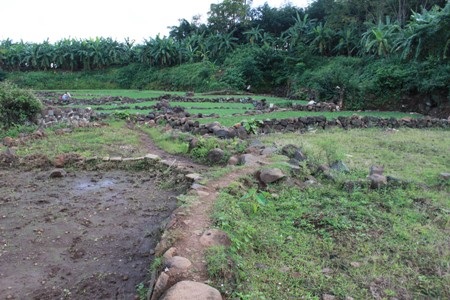 Giếng Tép đã bị san phẳng, không
còn dấu tích