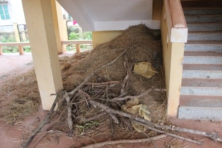 Bên trong được người dân tận dụng để củi và rơm rạ